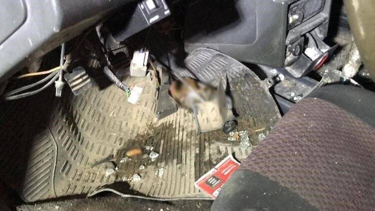 Yaralanan sürücüye ilk müdahaleyi yoldan geçen sağlık çalışanı yaptı