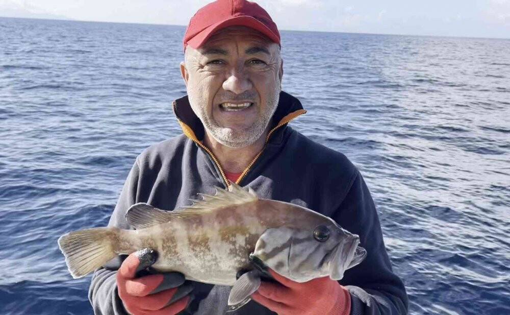 50 yıl sonra ilk kez Çanakkale’de görüldü