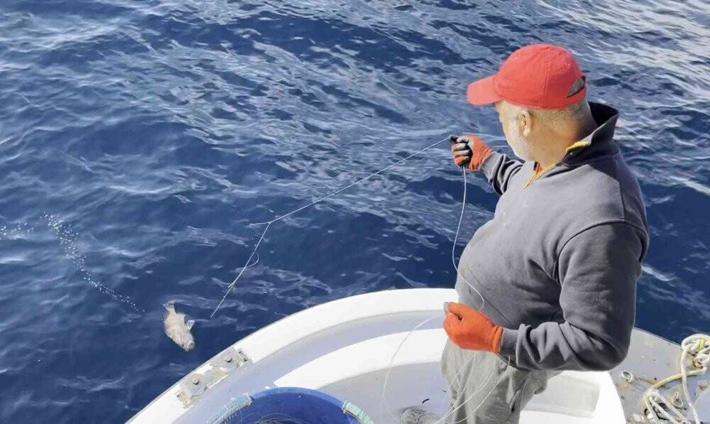 50 yıl sonra ilk kez Çanakkale’de görüldü