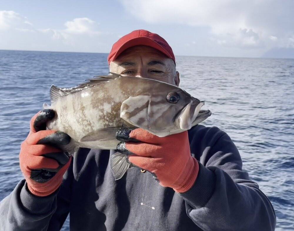 50 yıl sonra ilk kez Çanakkale’de görüldü