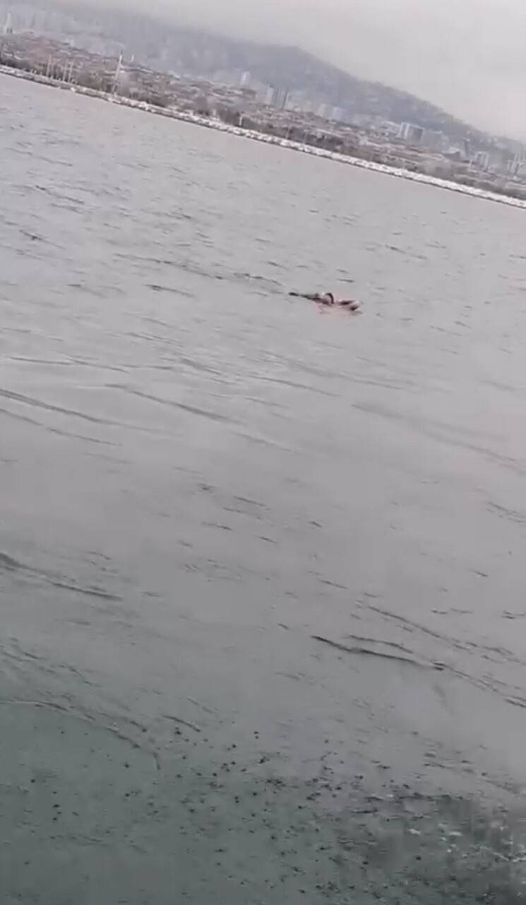 Vapurdan denize yolcu düştü, korku dolu anlar kameraya yansıdı