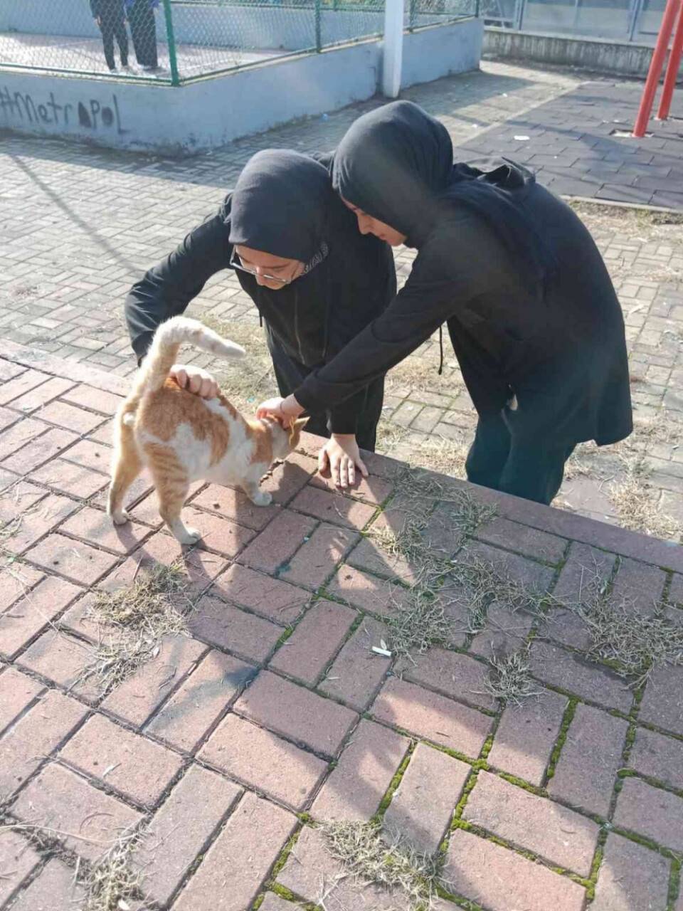 Sokaktaki canlara biriktirdikleri paralarla mama aldılar