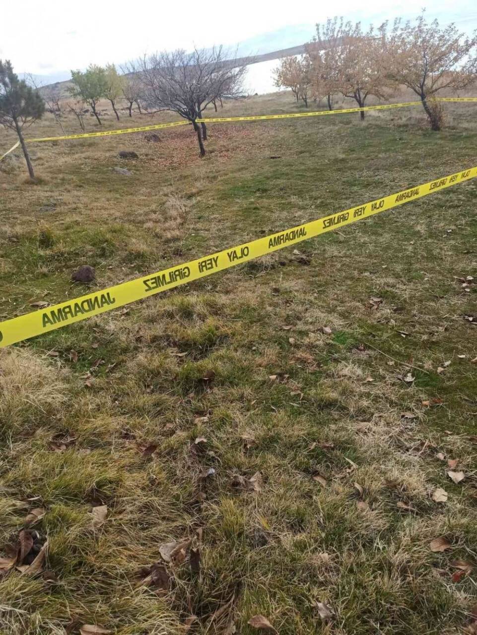 Yürüyüşe çıktı, patlamamış tank mühimmatı buldu