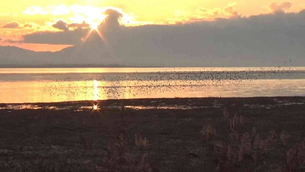 Beyşehir Gölü’nde gün batımında sığırcıklardan görsel şölen