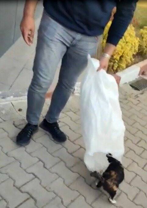 Bilecik’te KYK yurdunda skandal görüntü: Kedileri çuvallara koyarak topladılar