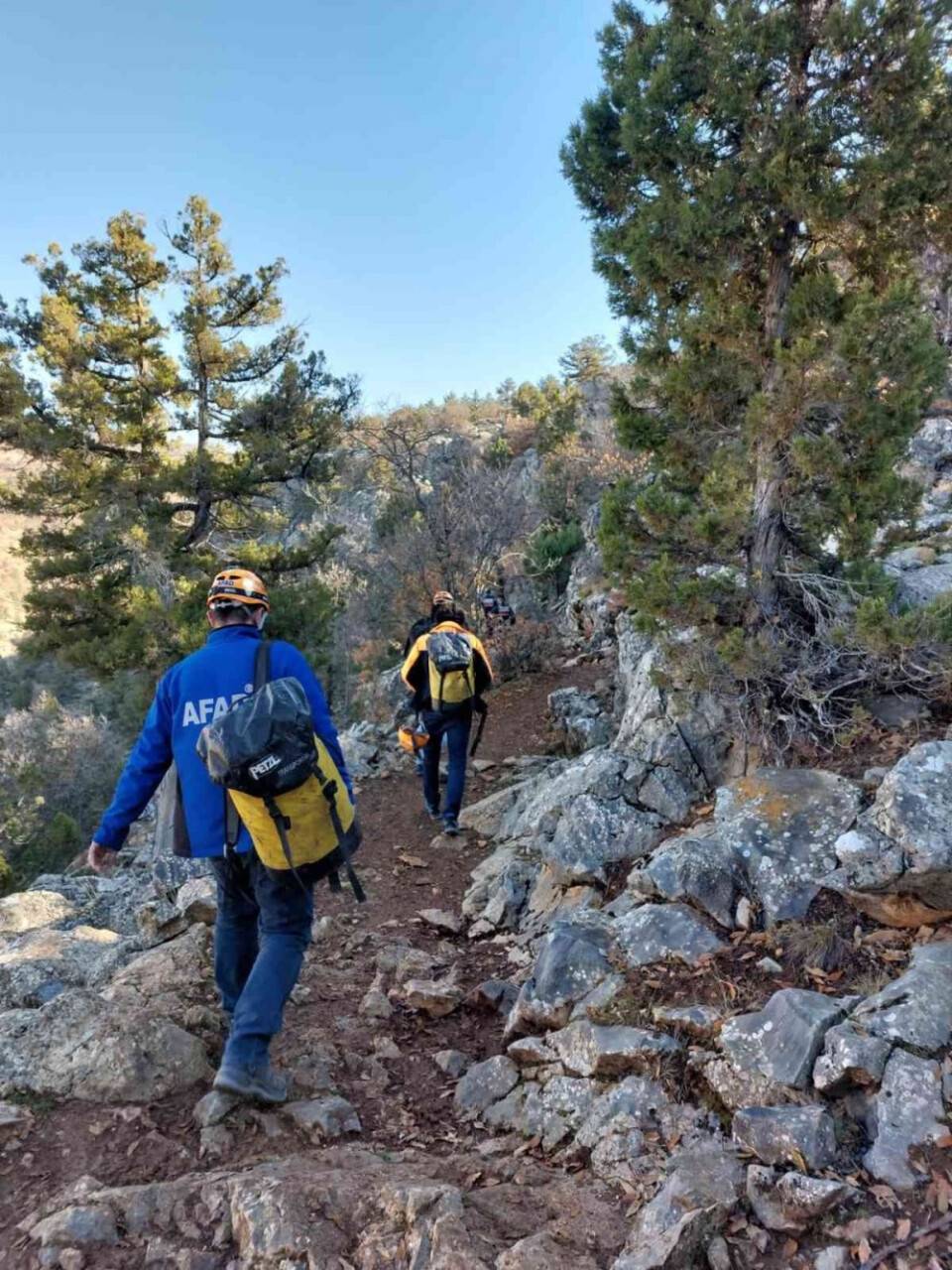 Dağlık alanda mahsur kalan keçileri AFAD kurtardı