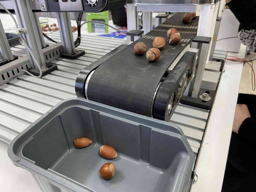 Yapay zeka teknolojisiyle fındık türlerinin sınıflandırılması sağlanacak