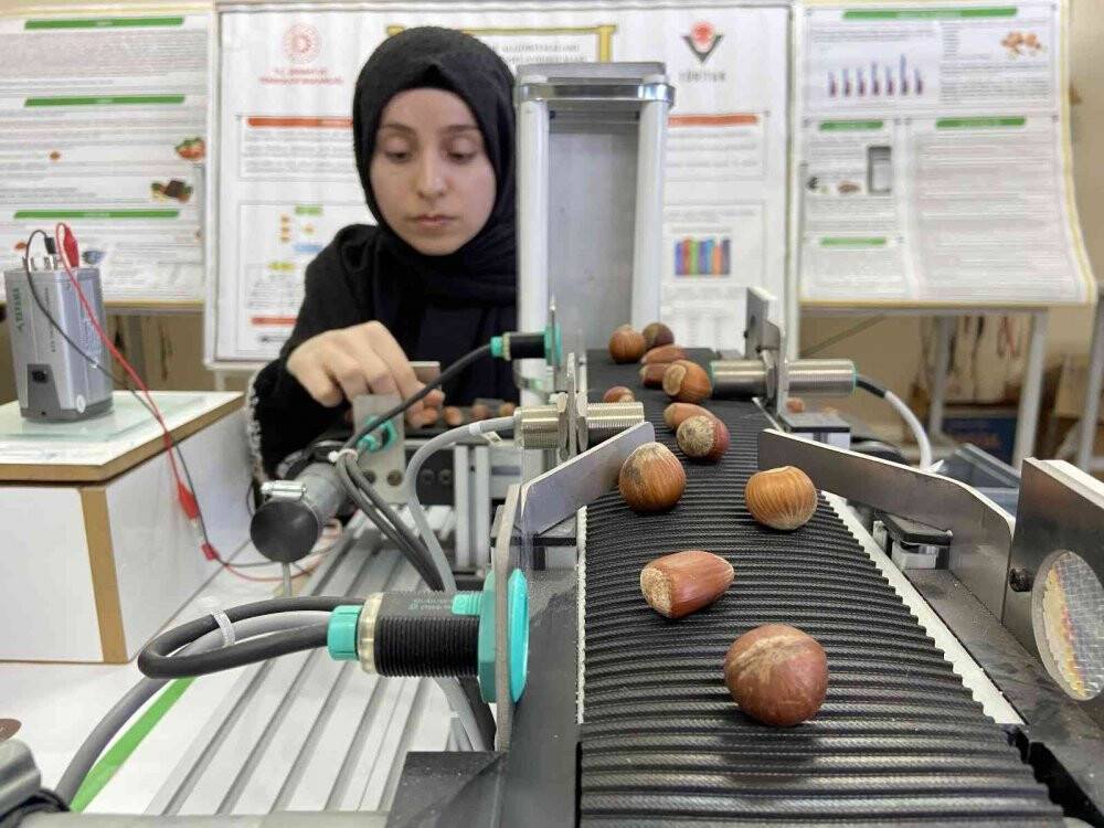 Yapay zeka teknolojisiyle fındık türlerinin sınıflandırılması sağlanacak