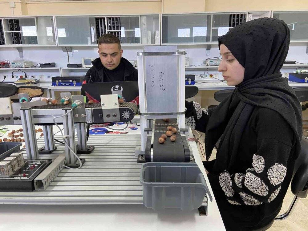 Yapay zeka teknolojisiyle fındık türlerinin sınıflandırılması sağlanacak