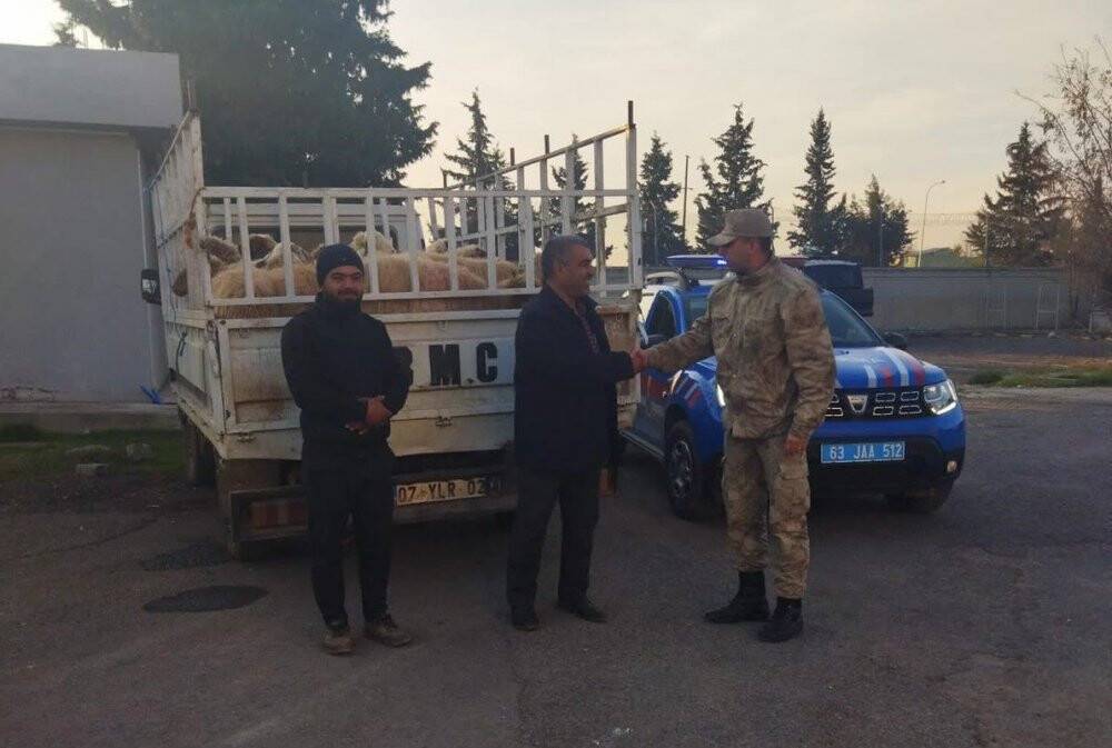 Hayvan hırsızları yakalandı