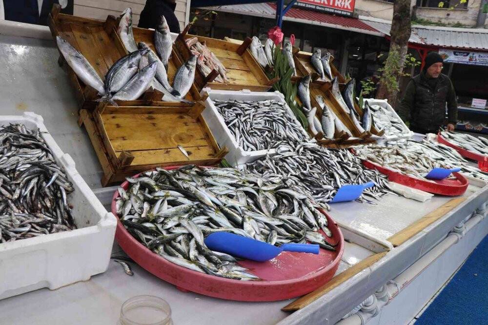 Karadeniz hamsisi bu yıl büyüyemedi