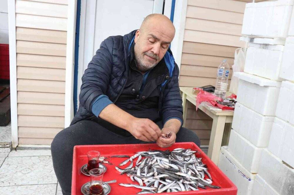 Karadeniz hamsisi bu yıl büyüyemedi