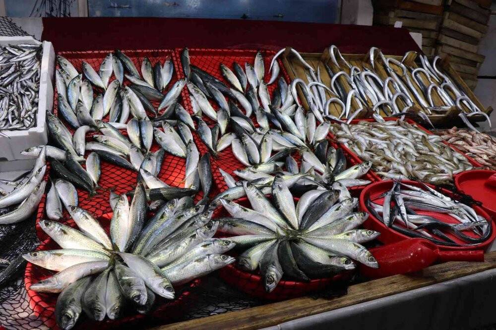 Karadeniz hamsisi bu yıl büyüyemedi