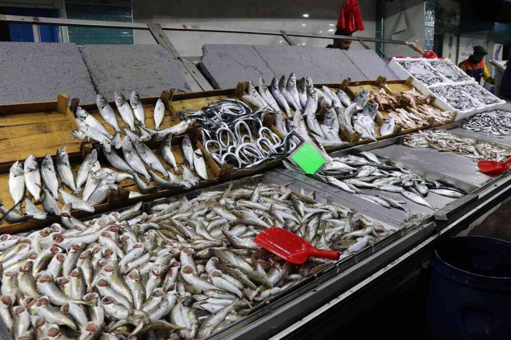 Karadeniz hamsisi bu yıl büyüyemedi