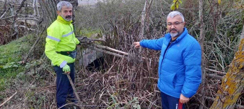 Osmanlı eseri Taş Köprü içler acısı durumda