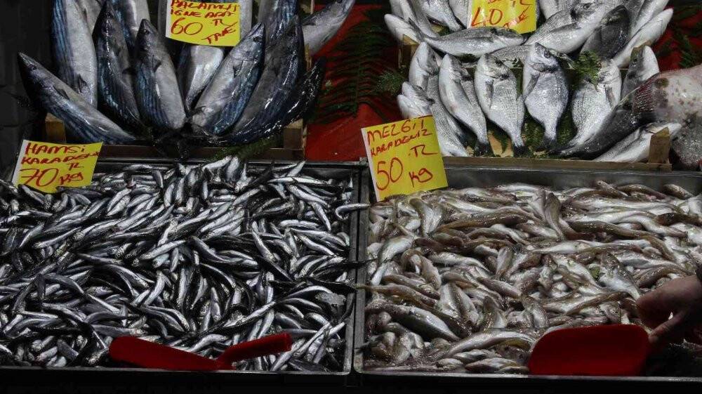 Soğuk havayla birlikte balığa ilgi arttı