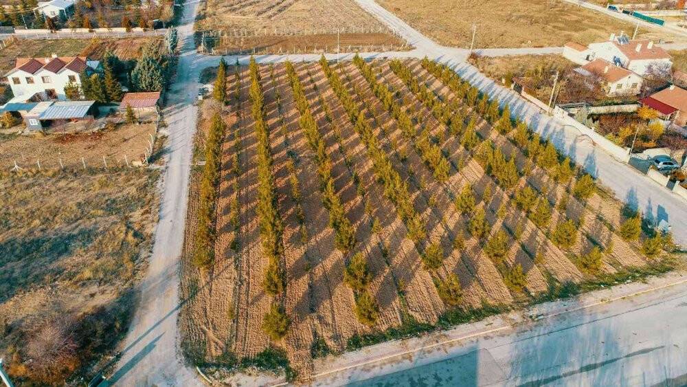 Başkan Kavuş: “Meram’ın yeşil dokusu eski günlerine kavuşana kadar durmak yok”