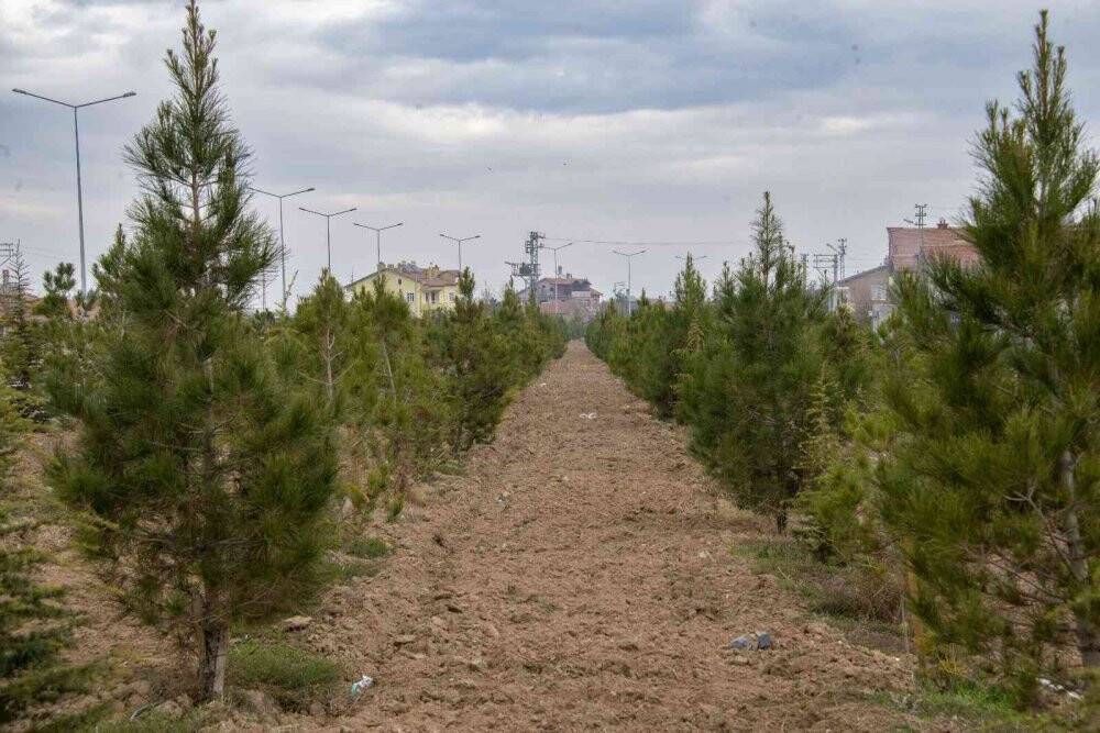 Başkan Kavuş: “Meram’ın yeşil dokusu eski günlerine kavuşana kadar durmak yok”