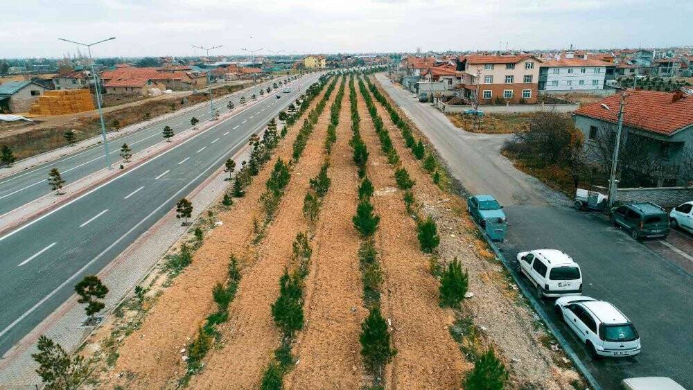 Başkan Kavuş: “Meram’ın yeşil dokusu eski günlerine kavuşana kadar durmak yok”