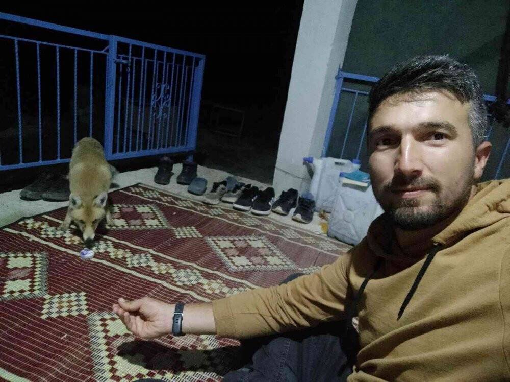 Okul müdürü eliyle beslediği tilki ile dost oldu