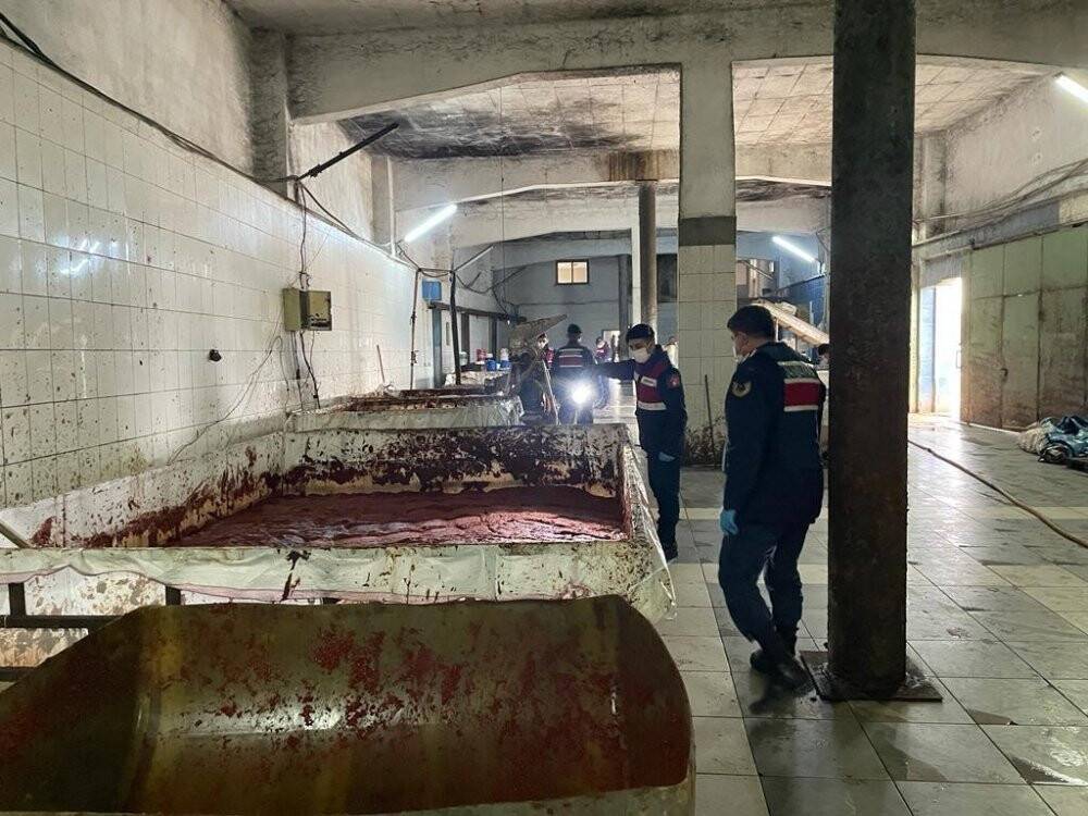 Sağlıksız koşullarda ürettikleri salçayı vatandaşa yedireceklerdi