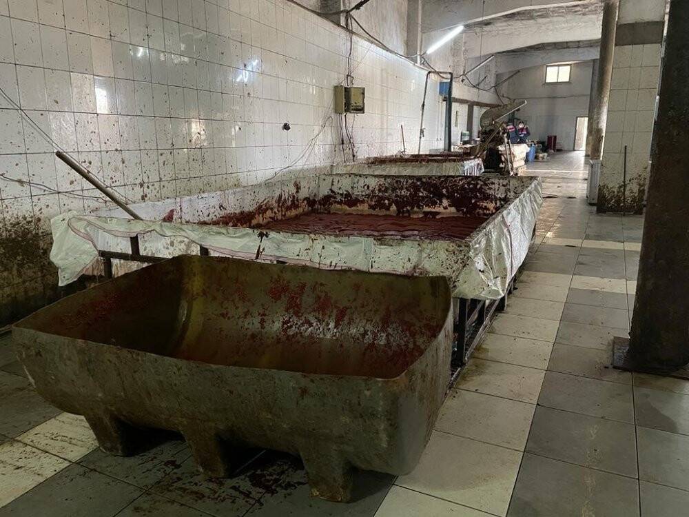 Sağlıksız koşullarda ürettikleri salçayı vatandaşa yedireceklerdi