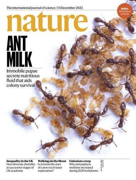 Sigara alışkanlığının genetik kodları çözüldü