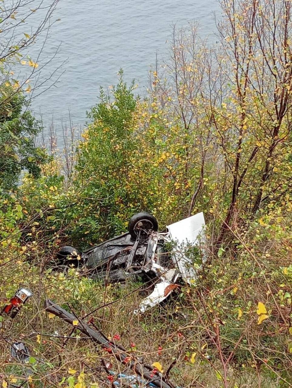 Uçuruma uçtu, ağaç dalları kurtardı