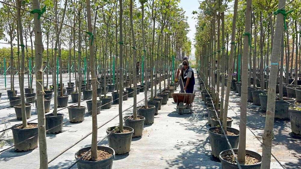 Atıklar organik gübreye dönüşüyor