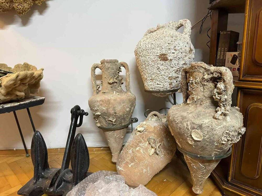 Yabani hayvan boynuzu operasyonu