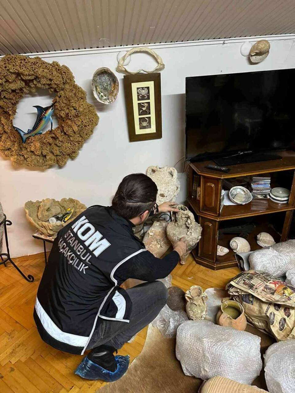 Yabani hayvan boynuzu operasyonu