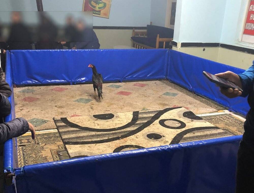 'Huzur’ uygulamasında 36 şüpheli hakkında işlem başlatıldı