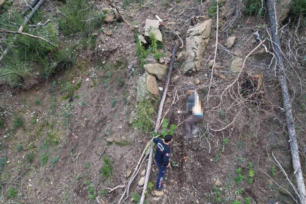Kayalıklardan düşen adamı jandarma dron ile buldu