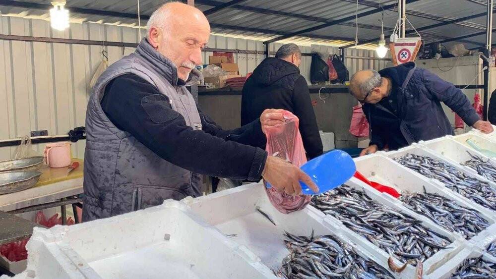 Havaların soğuması, hamsi fiyatını artırdı