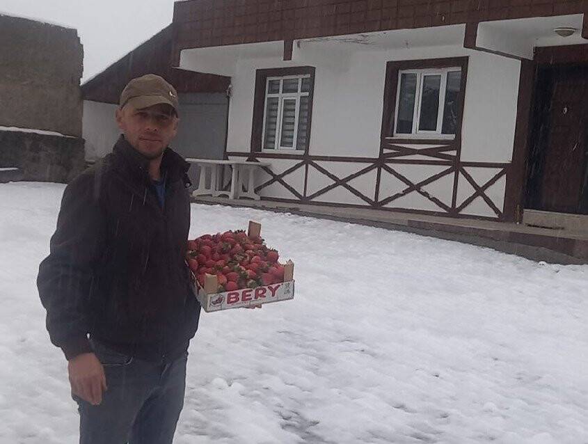 Kar altında çilek hasadı