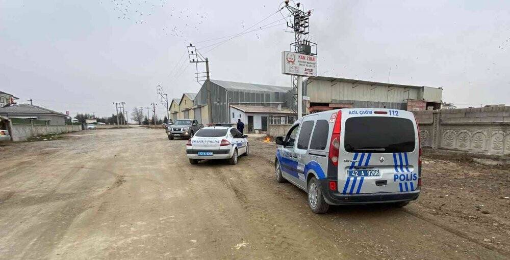 Kulu'da otlayan 50’dan fazla koyun telef oldu