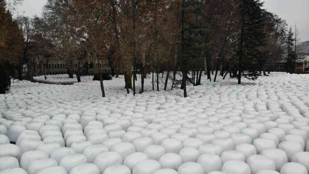 Binlercesi  görüntülendi, görenleri şaşırtan manzara