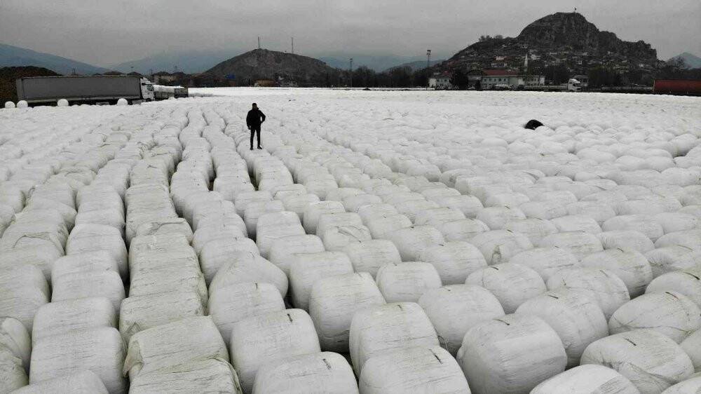 Binlercesi  görüntülendi, görenleri şaşırtan manzara