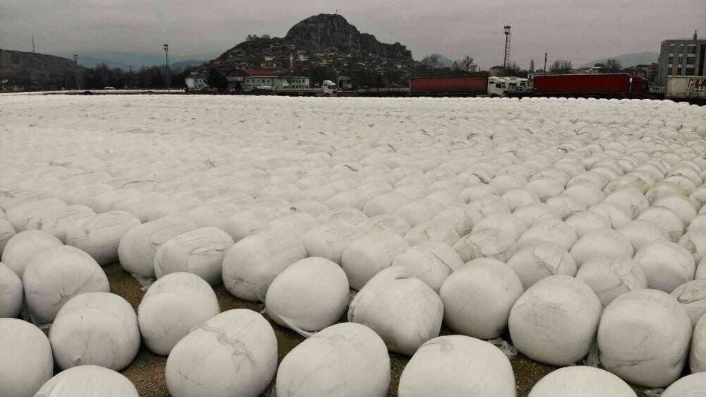 Binlercesi  görüntülendi, görenleri şaşırtan manzara