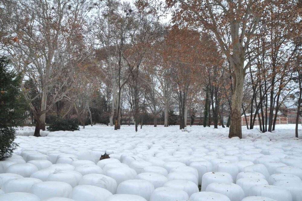 Binlercesi  görüntülendi, görenleri şaşırtan manzara
