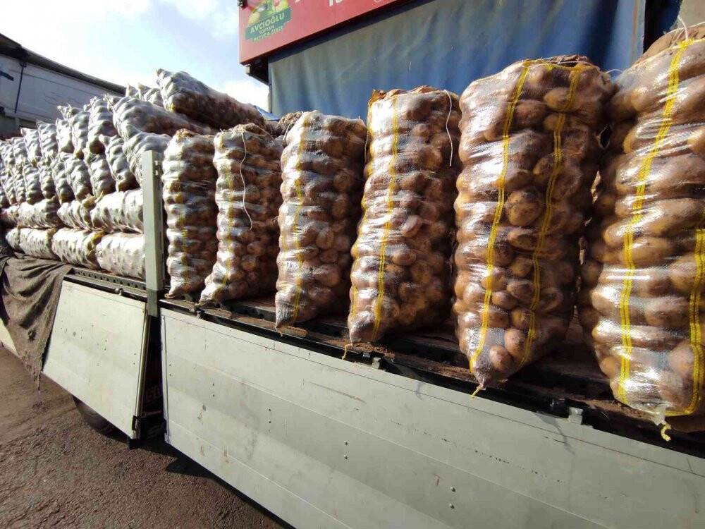 Meyve ve sebze tezgahlarında bolluk yaşanıyor