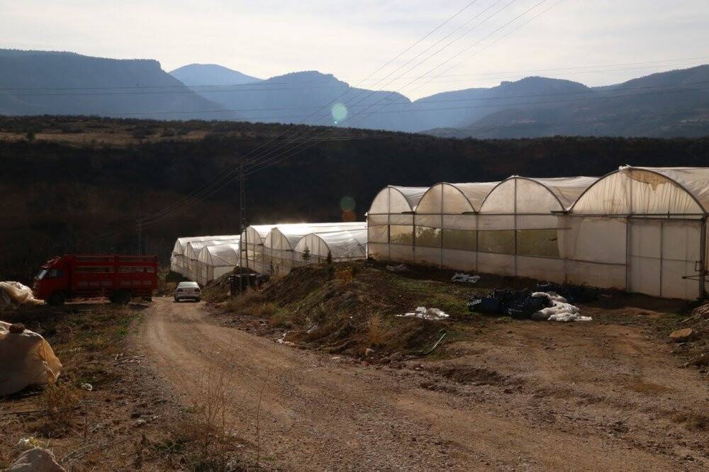 Şehir hayatını bıraktı, köyünde sera kurdu