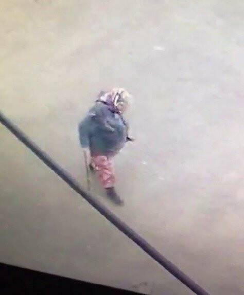 Yaşlı Kadın donarak can verdi