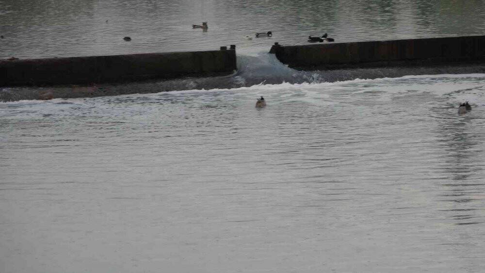 Kilez Deresi bembeyaz aktı, ekipler bölgeyi inceliyor