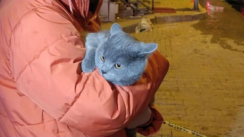 Polis ekipleri, dumanlar arasında kalan kediyi kurtardı