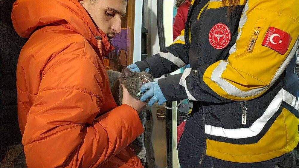 Polis ekipleri, dumanlar arasında kalan kediyi kurtardı