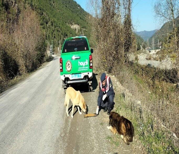 Sinop’ta kaçak avcılık denetimi