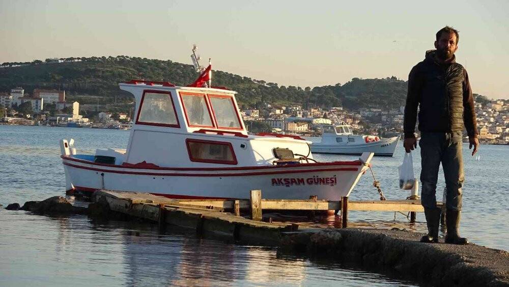 Balıkesir'de köpek balığı paniği