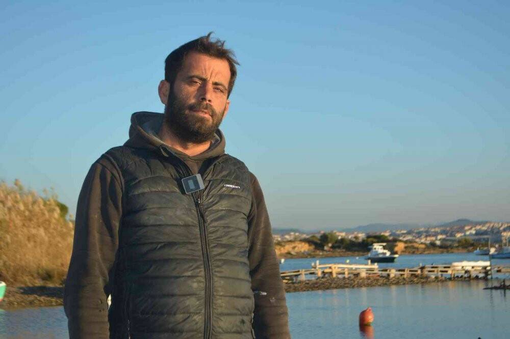 Balıkesir'de köpek balığı paniği