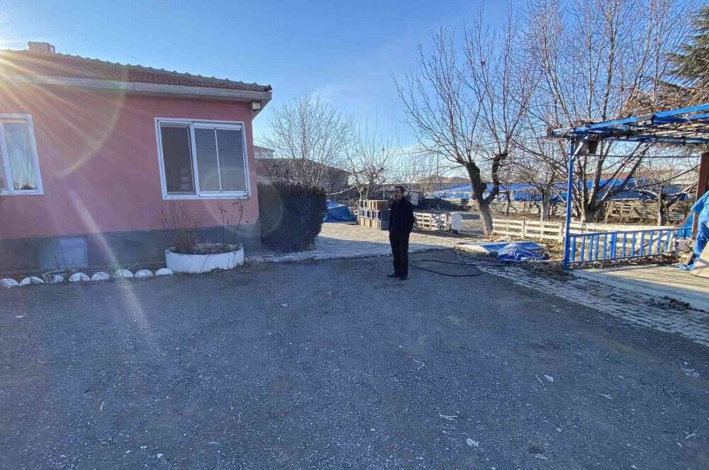 Kulu'da aç kalan kurt ilçeye indi